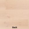 Fuzion Classical Elegance Bach